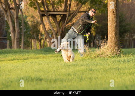 Uomo di gettare la sfera per il Golden Retriever Foto Stock