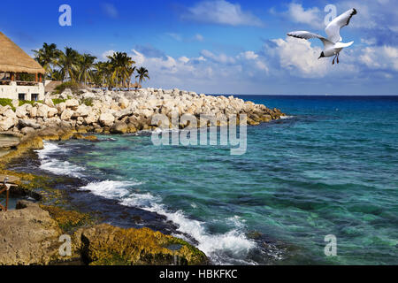 La costa del mare nel parco vicino a Cozumel Foto Stock