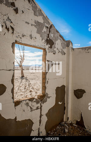 Albero morto attraverso il vetro rotto Foto Stock