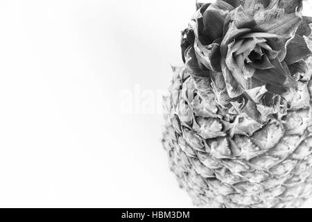 Ananas isolato in bianco e nero Foto Stock