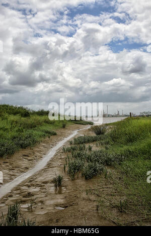 Vista sul fiume Suriname nel Suriname Foto Stock