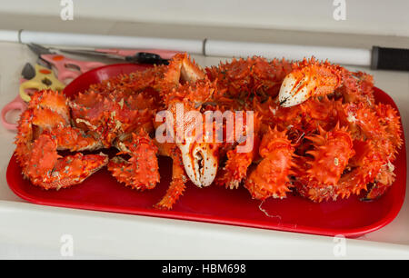 Preparate di fresco Kamchatka crab sul vassoio. Foto Stock