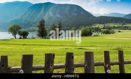 Il Parco Nazionale del Triglav, Alta Carniola, Slovenia. Prati all'estremità orientale del lago di Bohinj. Foto Stock