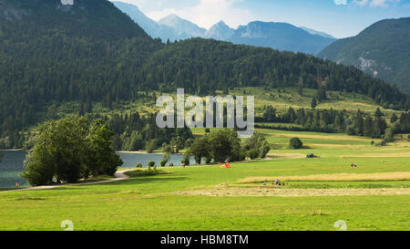 Il Parco Nazionale del Triglav, Alta Carniola, Slovenia. Prati all'estremità orientale del lago di Bohinj. Foto Stock