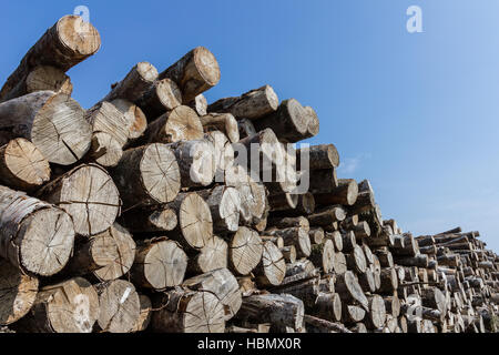 Grande pila di ciocchi di legna Foto Stock