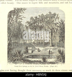 Il grande Sud: un record di viaggi in Louisiana, Texas, il territorio indiano, Missouri, Arkansas, Mississippi, Alabama, Georgia. ... Profusamente illustrato da bozzetti originali di J. W. Champney immagine presa da pagina 398 di 'Il grande Sud un Foto Stock