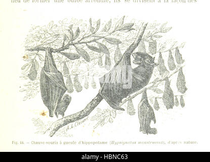 Questa immagine raffigura il percorso attraverso il Ciad da Loango al fiume Chari. Mostra caratteristiche paesaggistiche, attraversamenti fluviali, insediamenti, vegetazione e geografia regionale come documentato nel lavoro di viaggio illustrato a pagina 149. Foto Stock