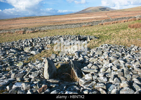 Carneddau Hengwm Nord Severn-Cotswold chambered tomba, nella brughiera sopra Dyffryn Ardydwy. Gwynedd, Galles del Nord, Regno Unito Foto Stock