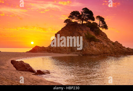 Sunrise a Cap Roig Beach, Costa Brava, Spagna Foto Stock