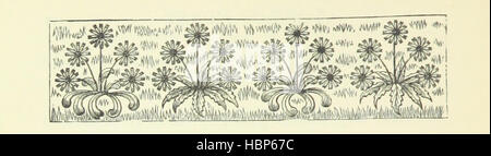 Immagine presa da pagina 40 del 'amore o denaro: un romanzo' immagine presa da pagina 40 del 'amore o denaro un Foto Stock