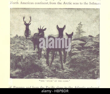 La storia degli Indiani americani: la sua origine, sviluppo e declino e destino immagine presa da pagina 57 del 'la storia della Foto Stock