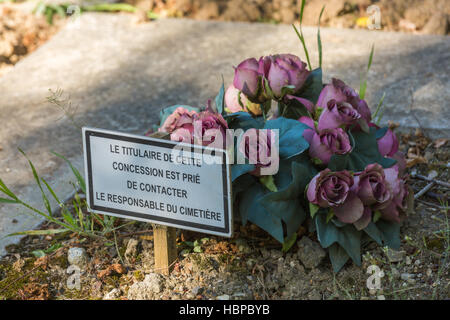 Fiori in un cimitero con tomba abbandonati Foto Stock