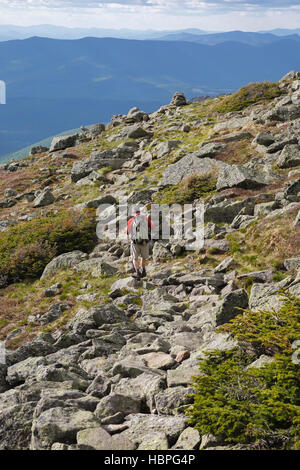 Un escursionista sulla Appalachian Trail, nei pressi del Monte argilla, durante i mesi estivi nelle White Mountains, New Hampshire USA. Foto Stock