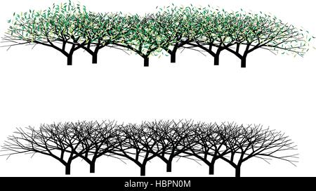 Siepi con e senza foglie, vettoriale modificabile Illustrazione Vettoriale