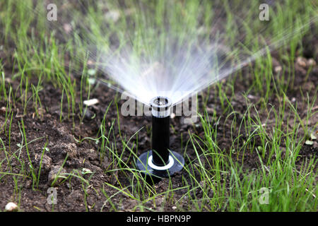 Sprinkler del innaffiamento automatico Foto Stock