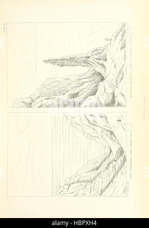 Sant'Elena: un fisico, storico e topografico descrizione dell'isola ... Le tavole botaniche da disegni originali dalla sig.ra J. C. Melliss immagine presa da pagina 101 di 'St Helena un fisico, Foto Stock