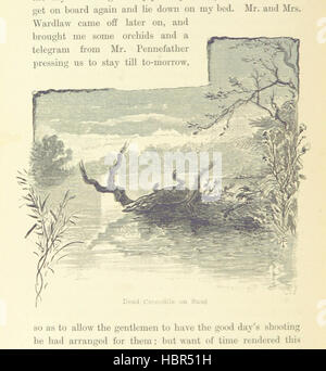 Immagine presa da pagina 452 di "L'ultimo viaggio ... 1887. [Lady Brassey di riviste e le note del suo ultimo viaggio nel "Sunbeam"; edito da Lady Barker. Con un breve ricordo di Lord Brassey. Con illustrazioni e una mappa.] (appendice. Parte I. Viaggio da Darnl immagine presa da pagina 452 di "L'ultimo viaggio Foto Stock