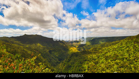 Vista dal punto di vista delle gole. Black River Gorges national park. Maurizio. Panorama Foto Stock