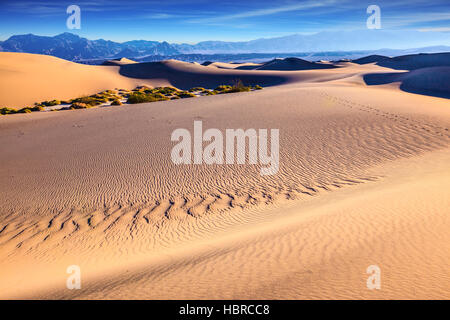 Mesquite Flat dune di sabbia Foto Stock