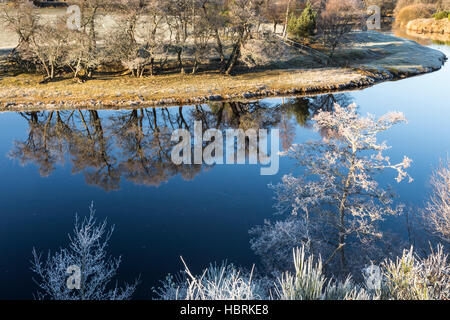 La brina sul fiume Spey nelle Highlands della Scozia. Foto Stock