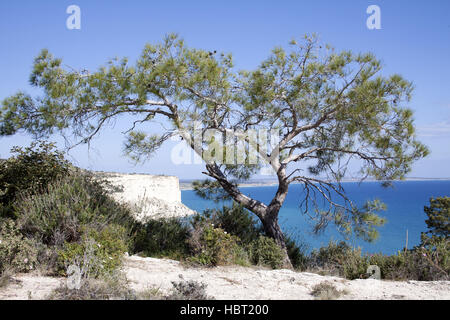 Episkopi Bay Cipro Foto Stock