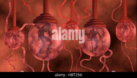 Più ingegnerizzati geneticamente gli esseri umani, i cloni, sospesi , flottante, nel fluido rosso ,vita pods. 3D render concetto. Foto Stock