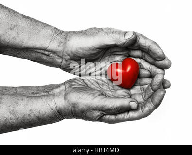 Donna anziana mantenendo il cuore rosso nel suo palms isolati su sfondo bianco, simbolo di attenzione e di amore Foto Stock