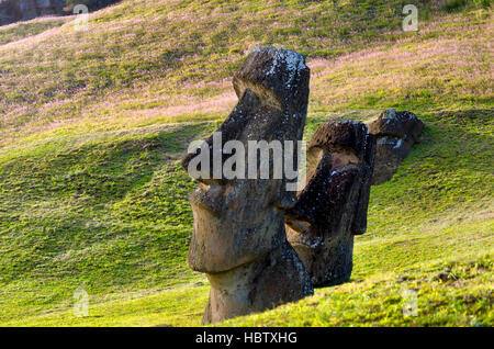 Vista del moai a Rano Raraku sull isola di pasqua in Cile Foto Stock