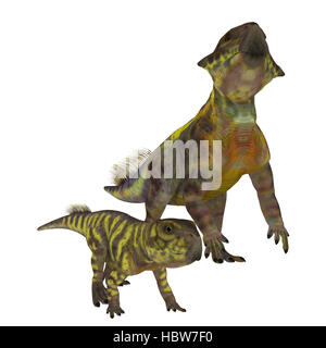 Psittacosaurus era un Ceratopsian dinosauro erbivori che vivevano in Asia nel Cretaceo. Foto Stock