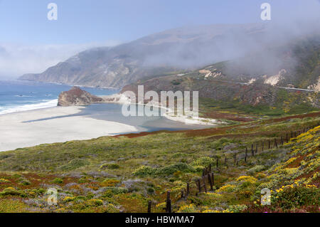 Poco Sur Fiume con nebbia a primavera. Big Sur, CALIFORNIA, STATI UNITI D'AMERICA Foto Stock