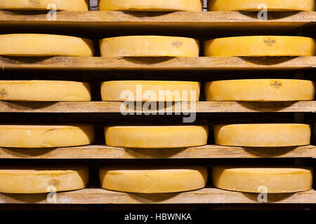 Magazzino di stagionatura del formaggio Fontina Valpelline, Valle d'Aosta, Italia Foto Stock