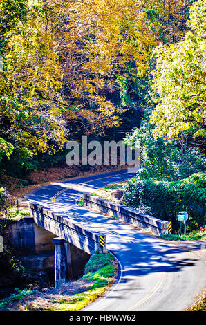 Strada con ponte che conduce nella foresta di autunno Foto Stock