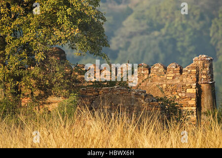 Paesaggio presso il Parco nazionale di Ranthambore in Rajasthan, India Foto Stock