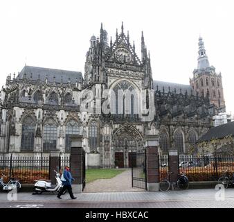 Sint-Janskathedraal medievale (St. Cattedrale di Giovanni), città di Den Bosch, Brabant, Paesi Bassi. Brabantine stile gotico. La maglia di 2 immagini Foto Stock
