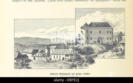 Questa immagine tratta da pagina 274 di 'Heim?atkunde von Steyr' offre una panoramica geografica e culturale di Steyr, Austria, concentrandosi sul suo ambiente naturale, i suoi monumenti e la sua storia regionale. Foto Stock