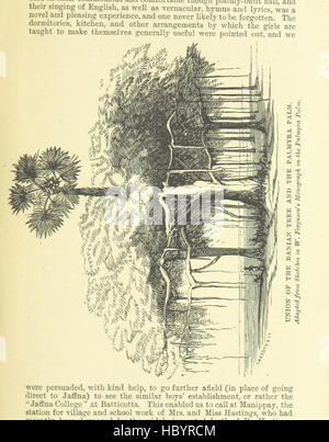 Immagine presa da pagina 335 di 'Ceylon nel 1893, etc' immagine presa da pagina 335 di 'Ceylon nel 1893, etc' Foto Stock
