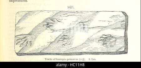 Immagine presa da pagina 655 del '[manuale di geologia: trattamento dei principi della scienza con speciale riferimento alla American storia geologica ... Edizione riveduta.]' immagine presa da pagina 655 del '[manuale di geologia il trattamento Foto Stock