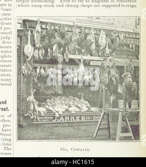 Immagine presa da pagina 46 di Peterborough, 1892, illustrato. La sua storia, produce il commercio' immagine presa da pagina 46 di Peterborough, 1892, illustrato le sue Foto Stock