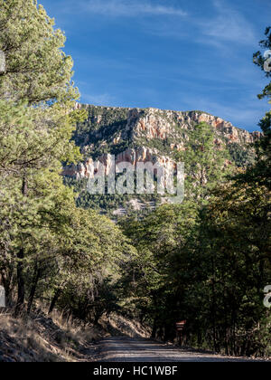 Cave Creek Canyon Arizona Foto Stock