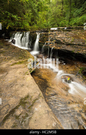 Cascata sul torrente dolce in Oregon Coast della gamma. Foto Stock