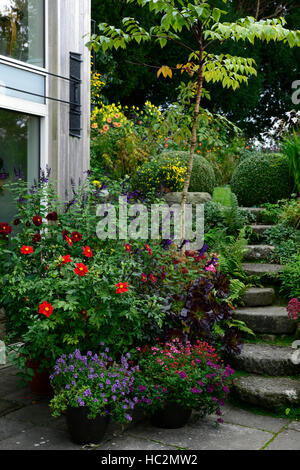 Percorso di pietra ripida area patio giardino giardini Patthana wicklow mix letto misto di visualizzazione dei bordi dei fiori di fioritura floreale RM Foto Stock