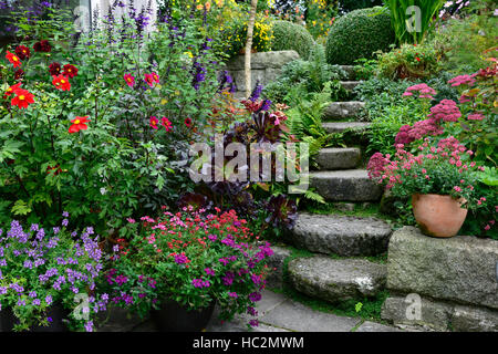 Percorso di pietra ripida area patio giardino giardini Patthana wicklow mix letto misto di visualizzazione dei bordi dei fiori di fioritura floreale RM Foto Stock