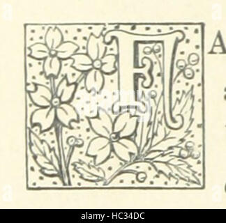 Immagine presa da pagina 84 del '[A Waif delle onde.]' immagine presa da pagina 84 del '[A Waif del Foto Stock