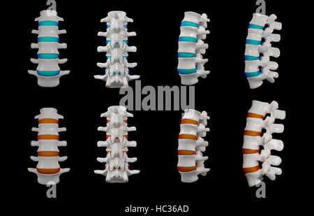 3d reso - Struttura della colonna vertebrale su sfondo nero Foto Stock