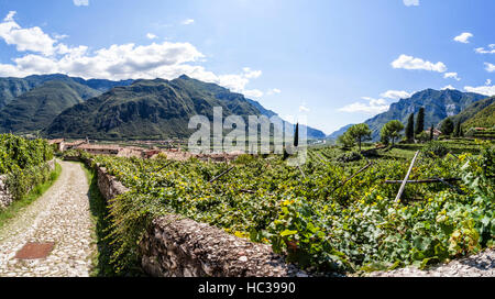 Vista dal castello di Avio in città Sabbinoara e valley Etschtal in Italia, Europa Foto Stock