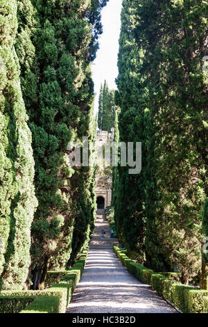 VERONA, Italia - 10 Ottobre 2016 - vicolo in Giardino Giusti a Verona. Il Giardino Giusti è il Rinascimento italiano Giardini , che sono stati piantati nel 1580. Foto Stock