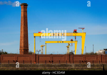 Sampson e Golia, i famosi punti di riferimento di Harland e Wolff shipyard, Belfast, Irlanda del Nord, Regno Unito. Il Sansone e Golia Gantry cranes hanno bec Foto Stock