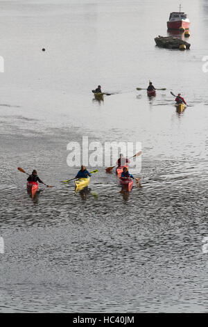 Putney, Londra, Regno Unito. Il 7 dicembre, 2016. Meteo. Canoisti godere paddling in inverno il sole sul Fiume Tamigi a Putney Credito: amer ghazzal/Alamy Live News Foto Stock