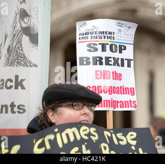 Londra, Regno Unito. Il 7 dicembre, 2016. Giorno 3 dell'Articolo 50 Audizione: manifestanti al di fuori della Corte Credito: Ian Davidson/Alamy Live News Foto Stock