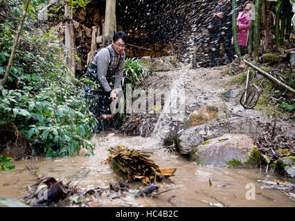 (161208) -- CHONGQING, 8 dicembre, 2016 (Xinhua) -- Li Gaoqiang colpisce il bambù immerso in calce nella città Xinglong, a sud-ovest della Cina di Chongqing, 7 dicembre, 2016. Li la famiglia, vivendo in Xinglong città di Chongqing ha tramandato l'artigianato tradizionale di rendere "Tuhuo' carta attraverso cinque generazioni. "Tuhuo' carta, fatto di bambù che cresce in aree locali, richiede elevati standard di tecniche attraverso tutte le fasi di lavorazione. Tuttavia, ad alta intensità di manodopera, scarse vendite e bassi rendimenti, l'imbarcazione viene ereditato da alcuni giovani, che ha spinto il governo a sviluppare come un progetto di turismo in una Foto Stock